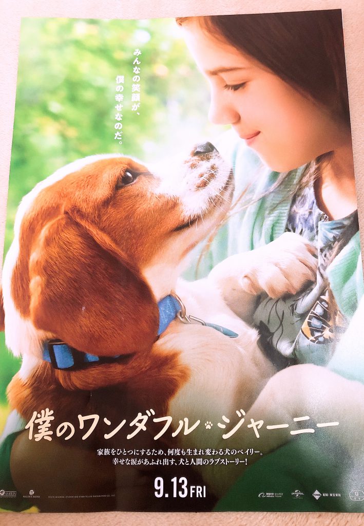 映画観るならコレ！①